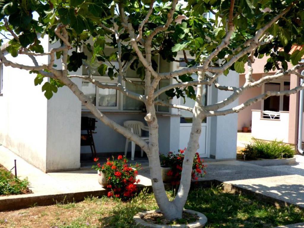 Apartments Branko Nin Bagian luar foto